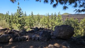 Sendero del Chinyero