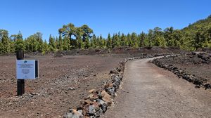 Sendero del Chinyero