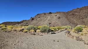 Pico del Teide