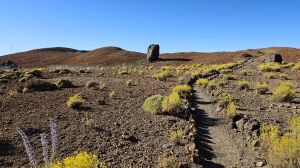 Pico del Teide