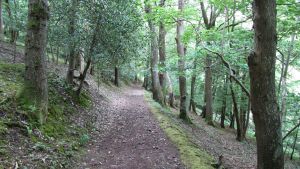 Quantock Hills.