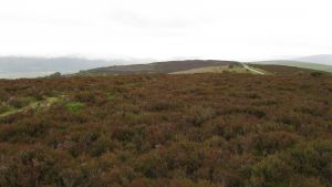 Porlock.