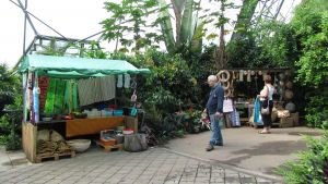 The Eden Project, the rain forest.