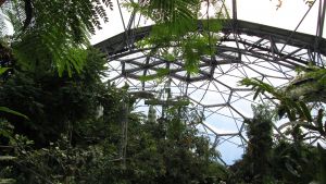 The Eden Project, the rain forest.
