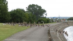 Farmoor Reservoir.